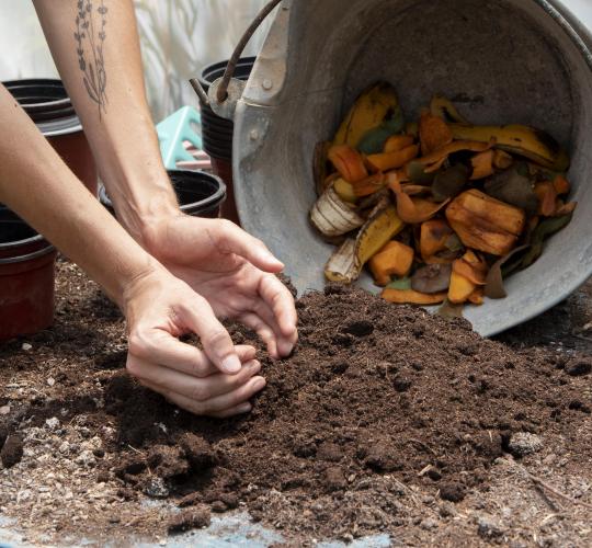Maisto atliekos: kokios jos ir kaip jas tvarkyti?